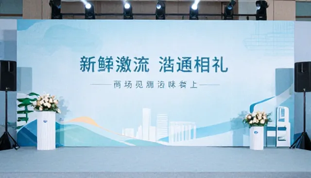 账号代运营中性能差异对比及实际取舍